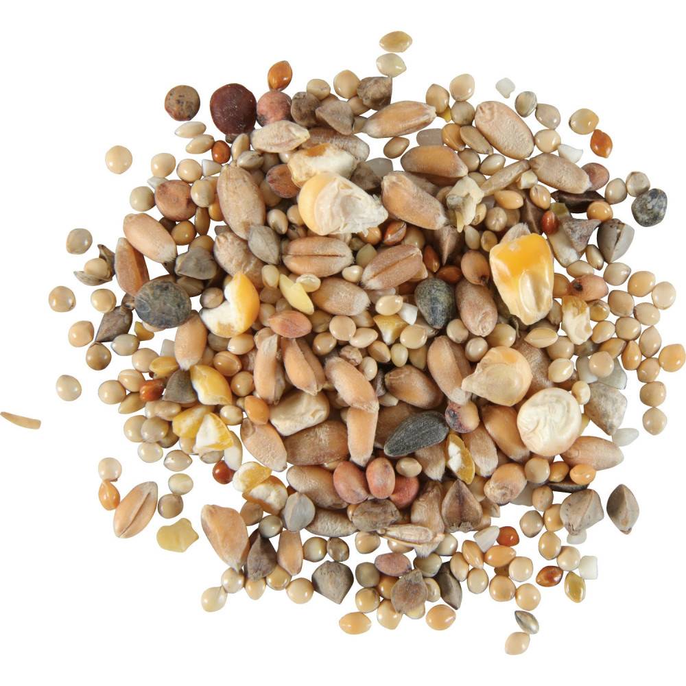 Zolux - zolux - Semillas para tórtola nutrimeal 800g. - Imagen 4
