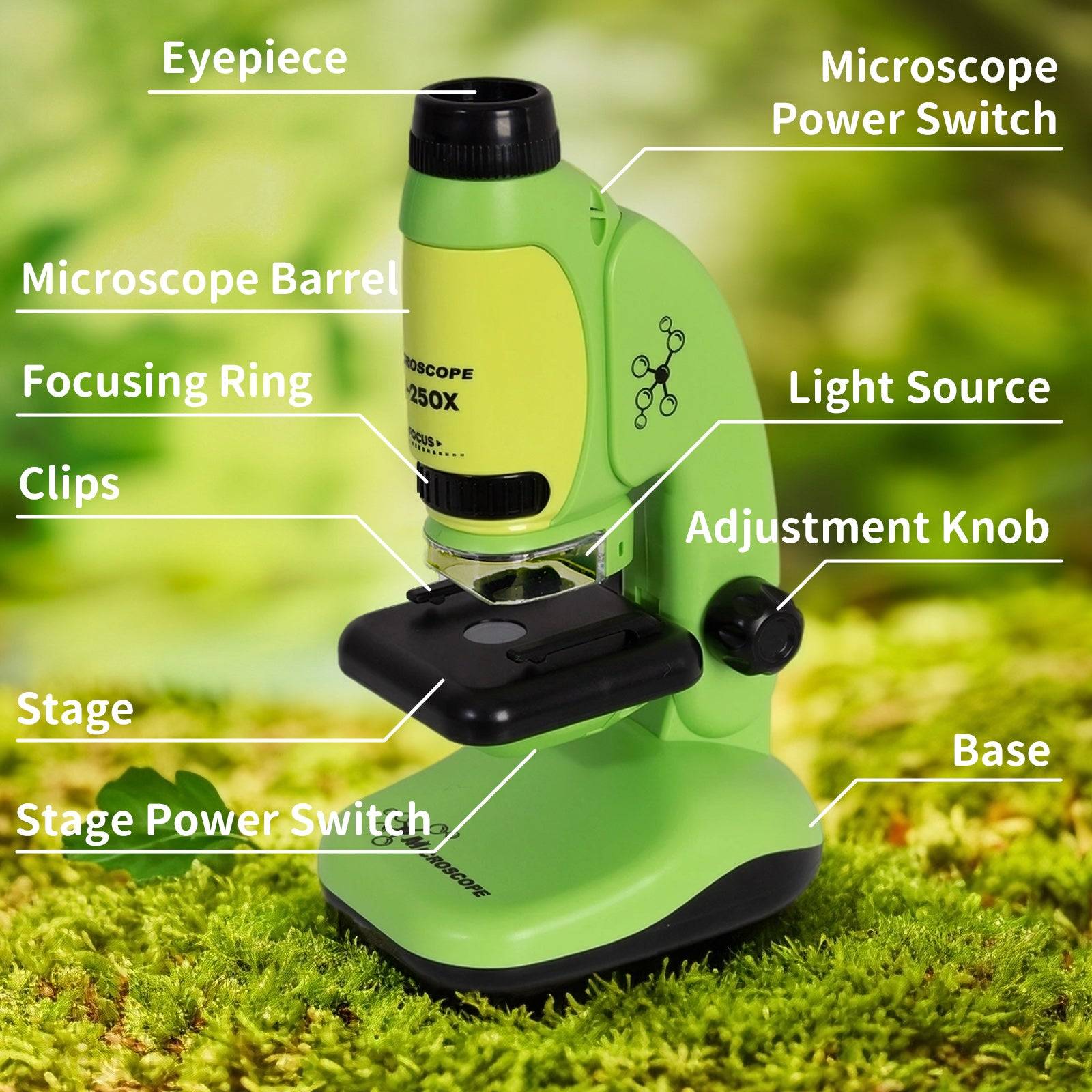 Todeco 50X-250X Microscope, Microscope de poche et de table 2 en 1, microscope pour Les Enfants, Les étudiants, l'observation microbiologique - Gamm vert