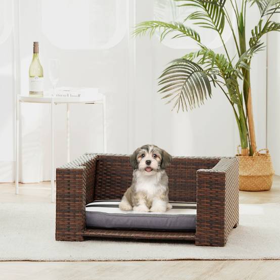 Lit surélevé en rotin avec coussin lavable pour chat ou petit chien - Image 4