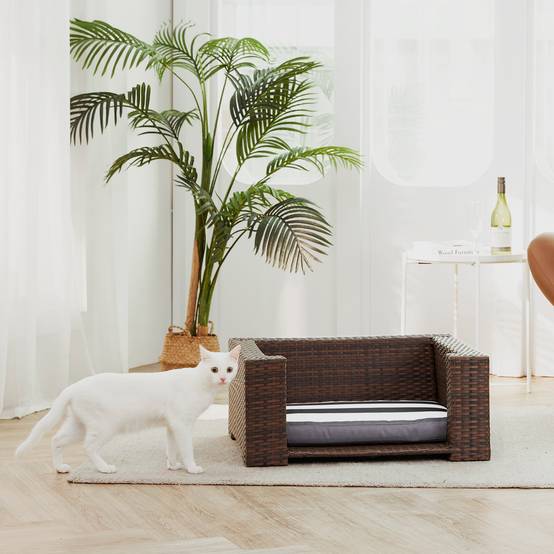 Lit surélevé en rotin avec coussin lavable pour chat ou petit chien - Image 3