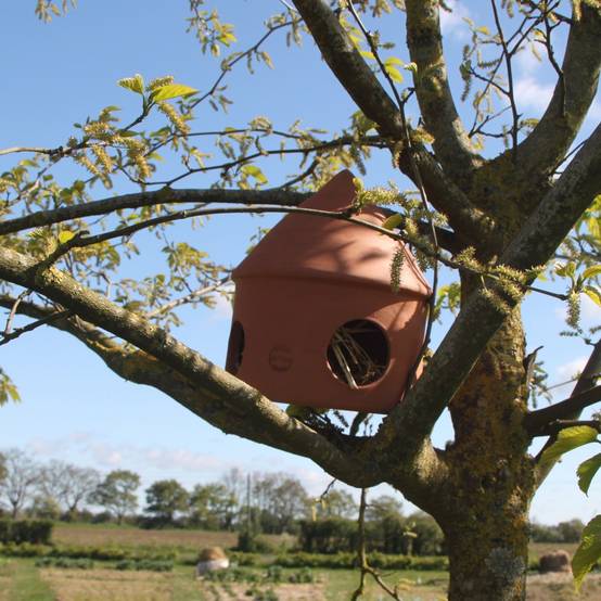 Ollas Lutton - Mangeoire à oiseaux artisanal - Image 2