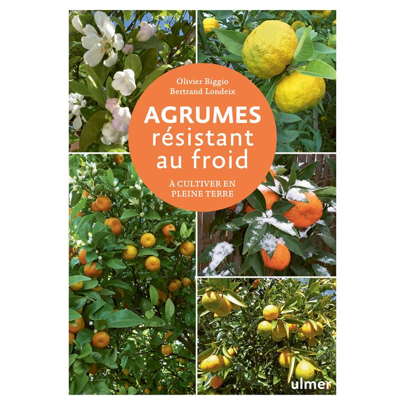 Promesse de Fleurs - Agrumes résistant au froid - A cultiver en pleine terre