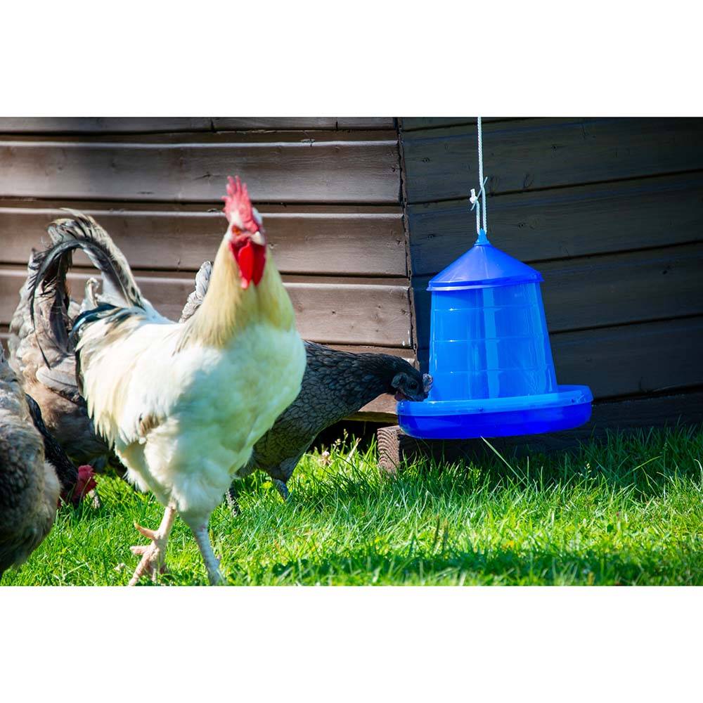 Chick'a - Trémie bleue transparente 4kg - Imagen 3