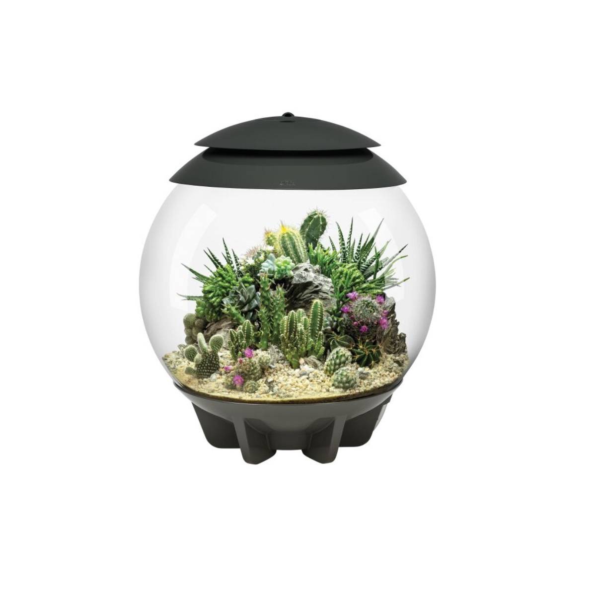 Oase - Terrarium automatisé 30l gris AIR30GREY Oase