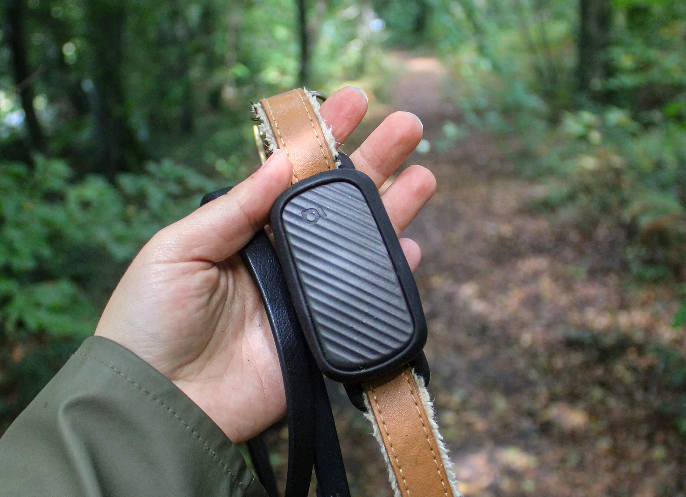 Collier GPS pour chien sans abonnement - Noir / Weimar / Sans Smartdock - Image 3