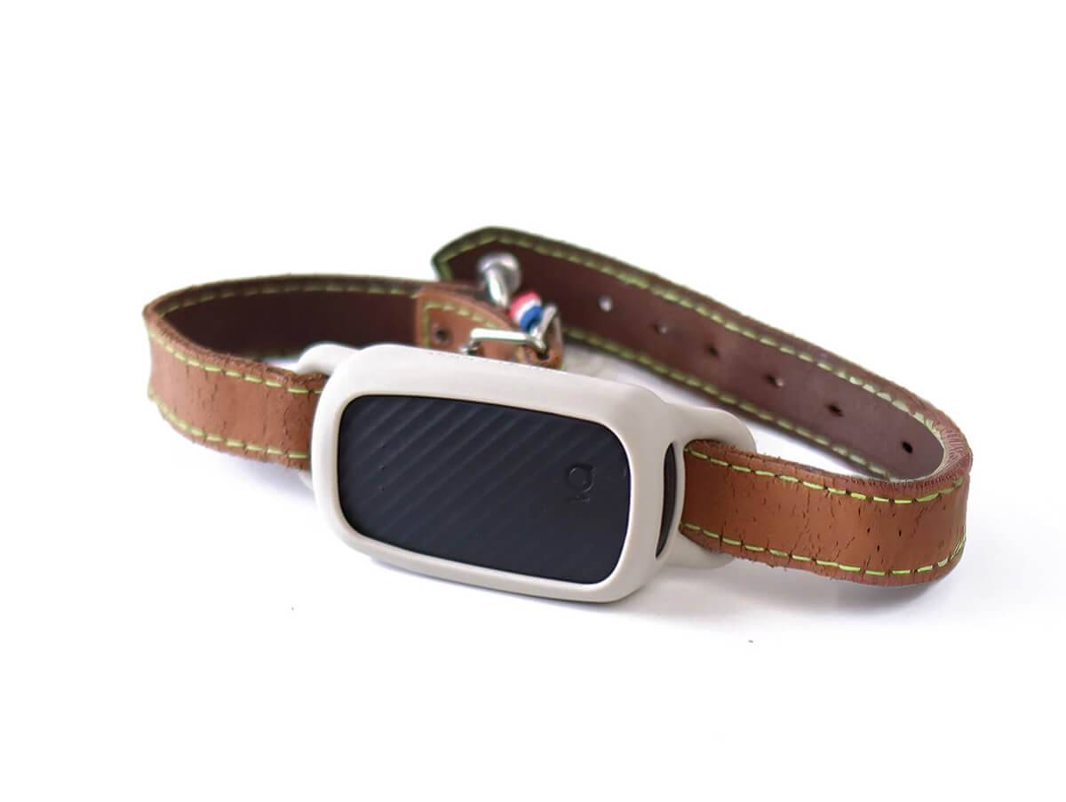 Collier GPS pour chien sans abonnement - Noir / Weimar / Sans Smartdock - Image 1