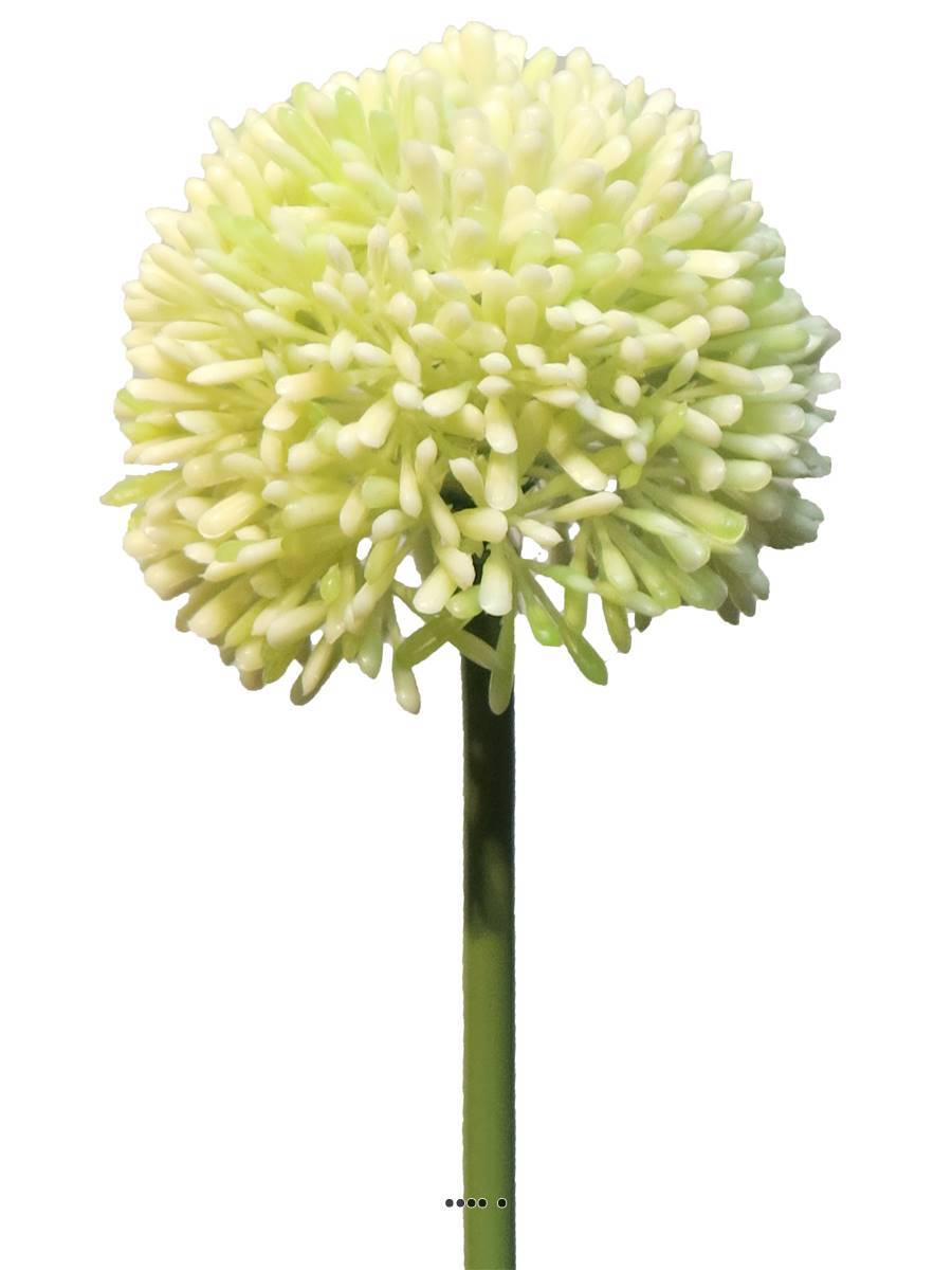 Artificielles - Allium artificiel en tige H 45 cm Crème - BEST - couleur: Crème - Imagen 2