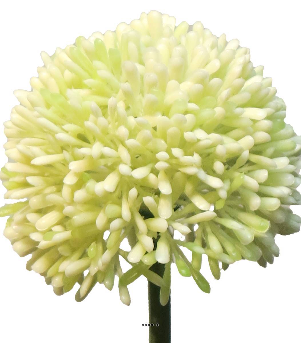 Artificielles - Allium artificiel en tige H 45 cm Crème - BEST - couleur: Crème - Imagen 3