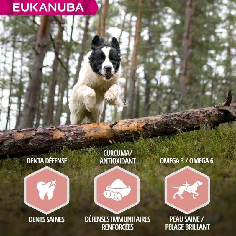Eukanuba - CROQUETTES CHIEN SENIOR AGNEAU SMALL / MEDIUM - EUKANUBA 12 kg - Imagen 5