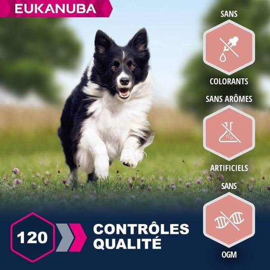 Eukanuba - CROQUETTES CHIEN SENIOR AGNEAU SMALL / MEDIUM - EUKANUBA 12 kg - Imagen 3