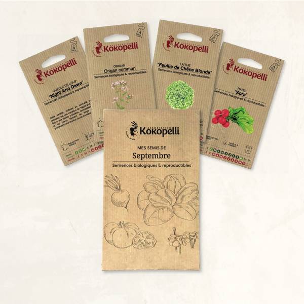 Mes semis de septembre - 4 sachets de graines bio à semer- Association Kokopelli - Imagen 2