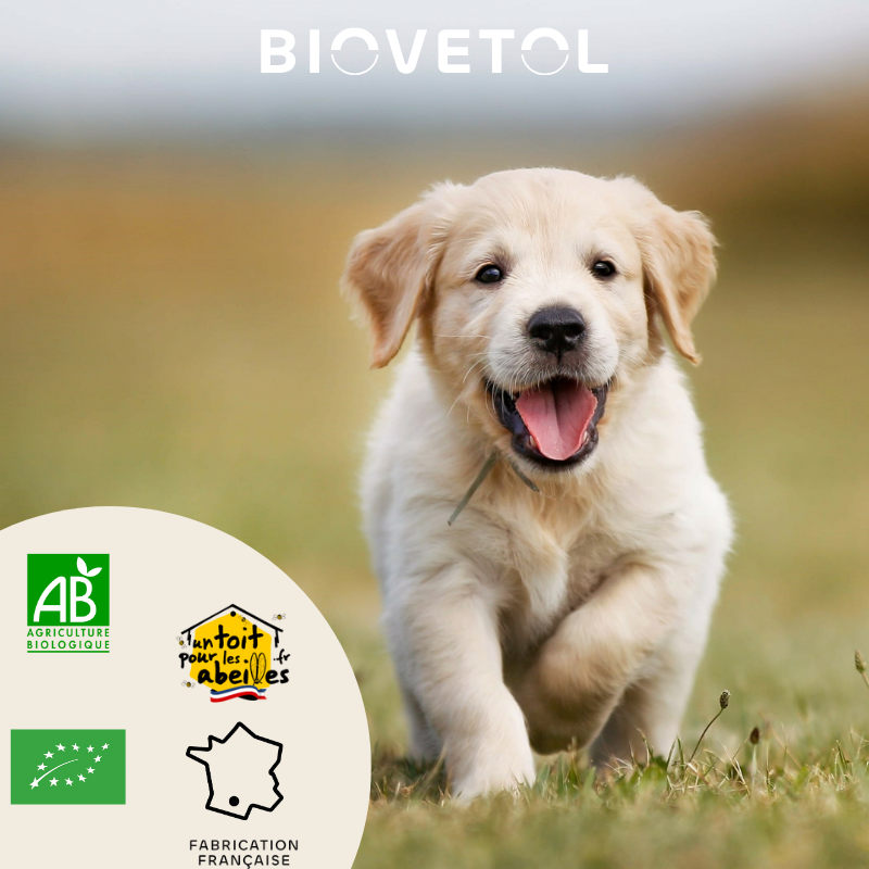 Biovetol - Vermífugo Bio en Polvo para Perro Pequeño & Cachorro - Imagen 2