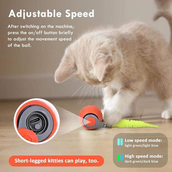 Balle Roulante Automatique - Jouet Chat/Chien DtopbuyAge - Image 2