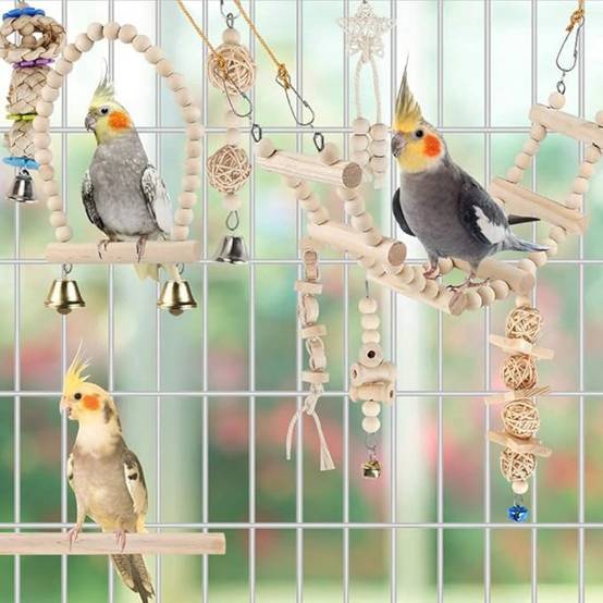 Jouets Et Accessoires Pour Cage D'Oiseaux - Image 3