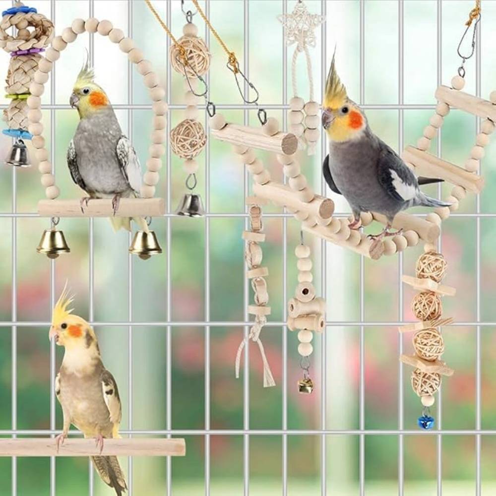 Jouets Et Accessoires Pour Cage D'Oiseaux - Image 3