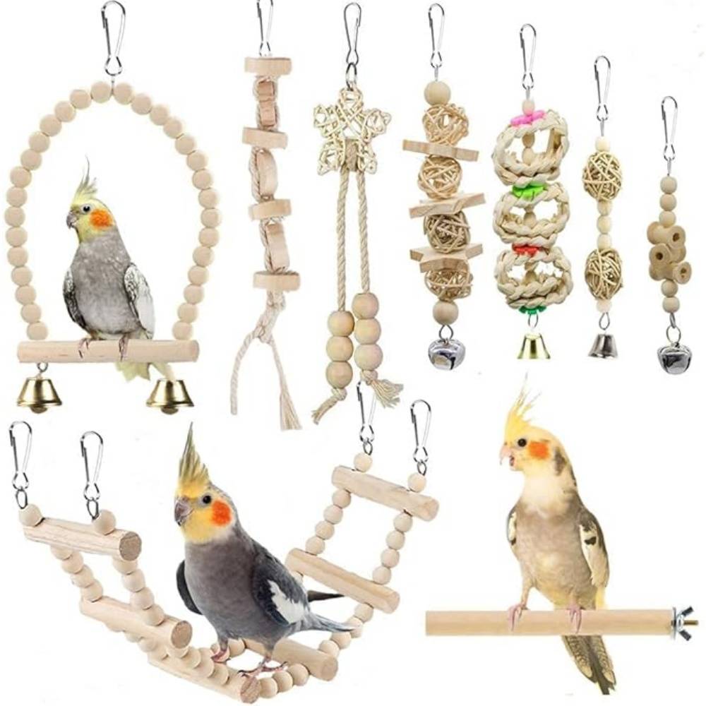 Jouets Et Accessoires Pour Cage D'Oiseaux - Image 1