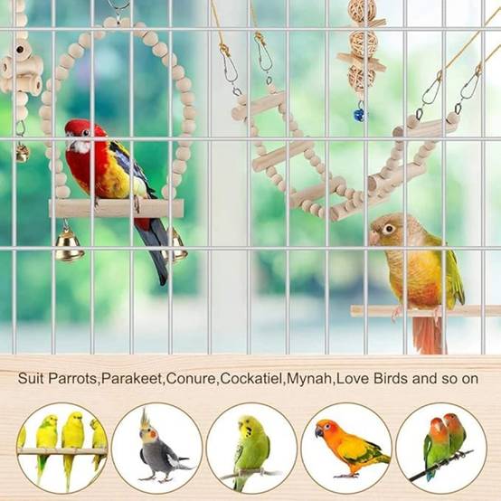Jouets Et Accessoires Pour Cage D'Oiseaux - Image 4