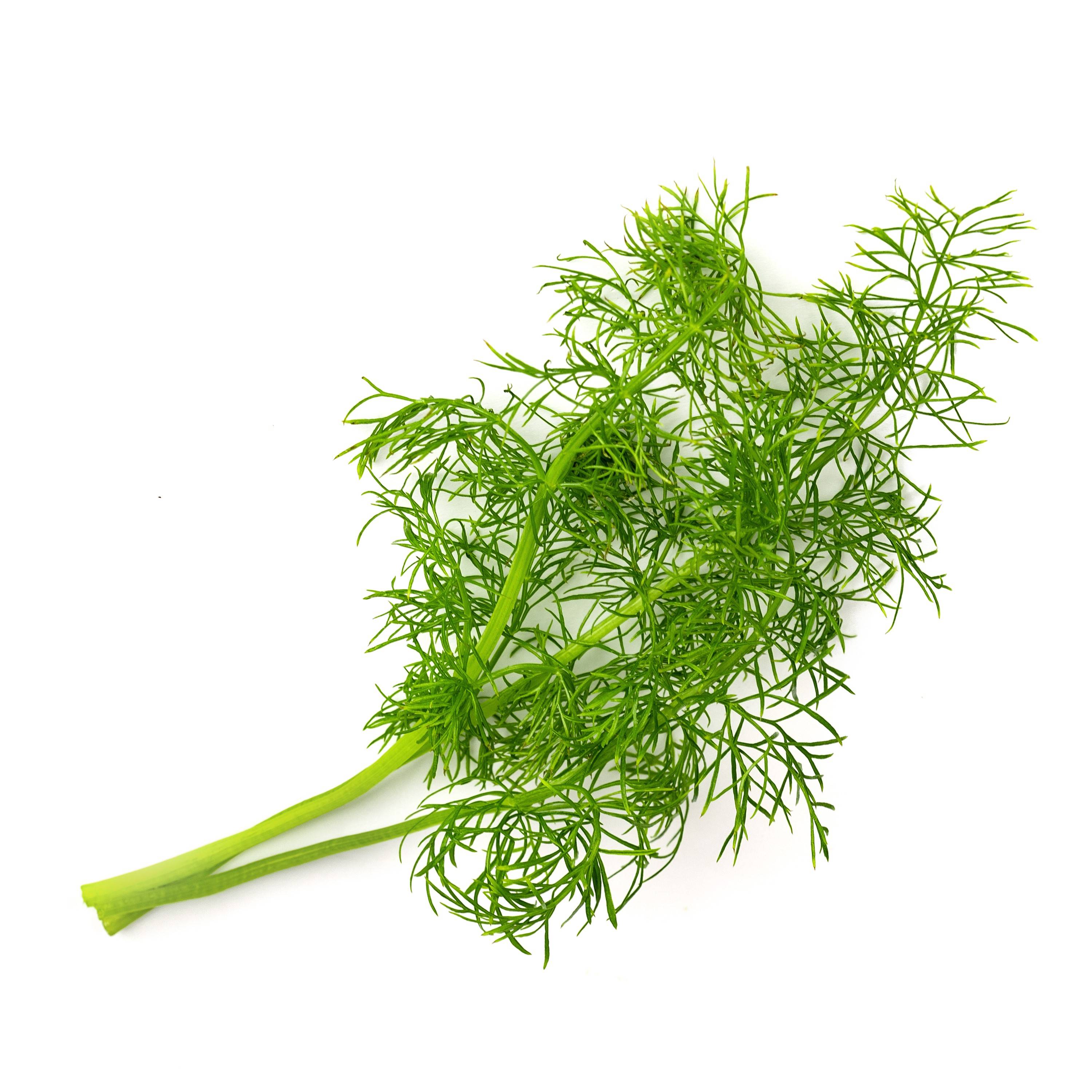 Veritable - Lingot Fenouil BIO - Recharge prête à l'emploi - Véritable - Imagen 2