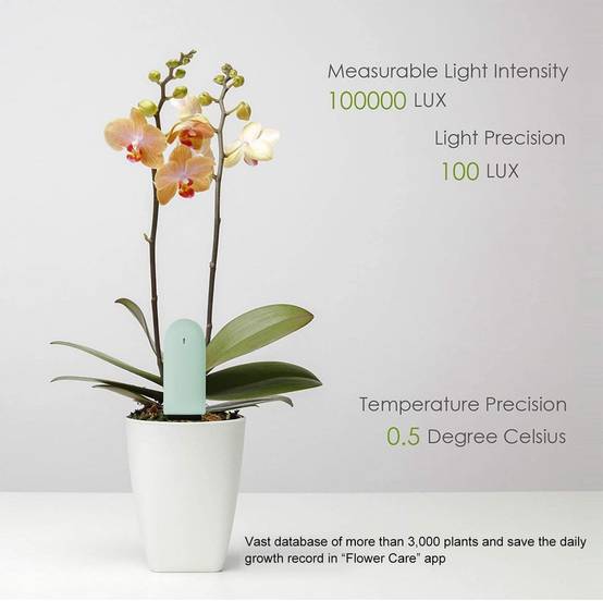 Flower Care Soil Tester, Surveillance intelligente des plantes, bleu - IntiMeg - Image 4