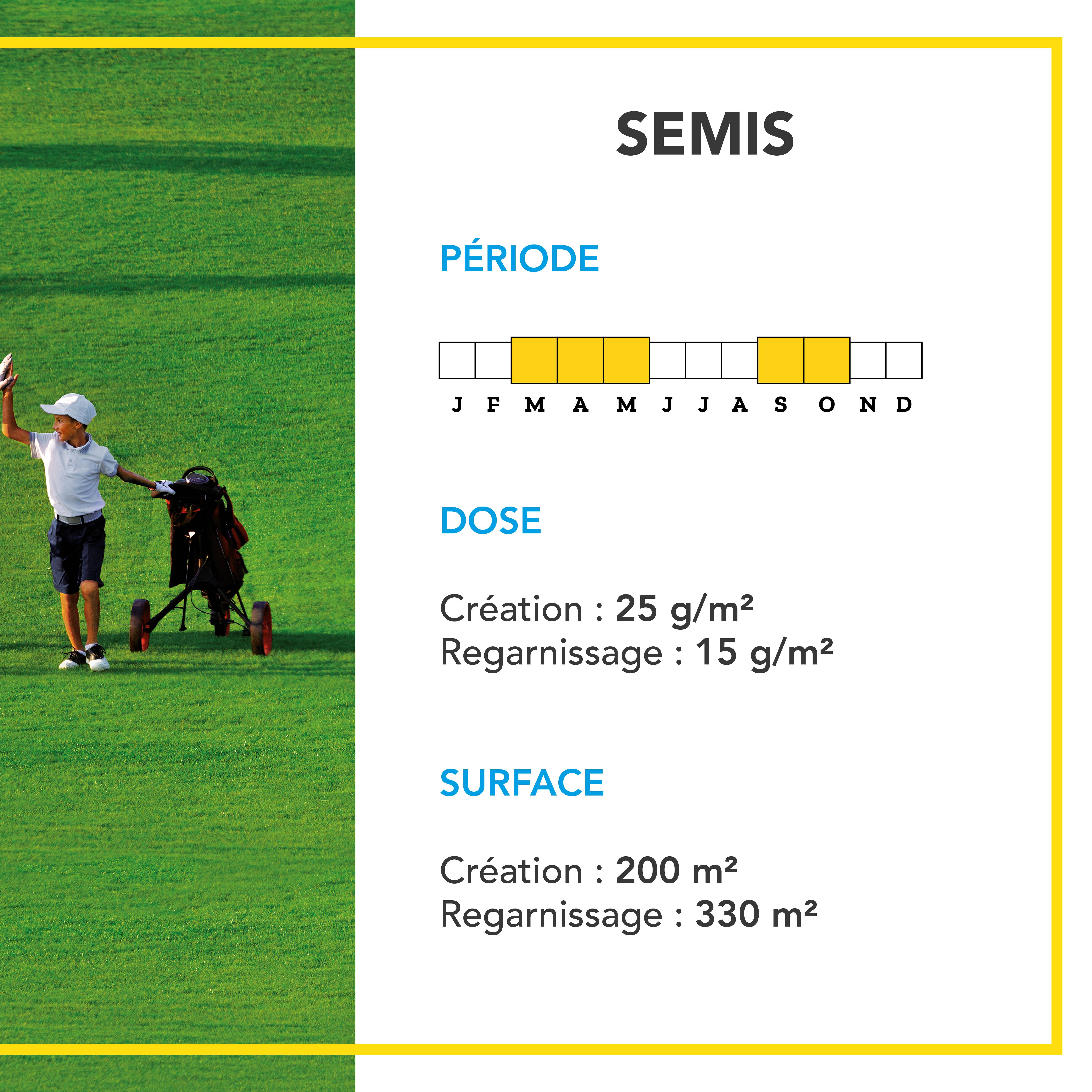 Gazon Ligue Pro et Golf - pour Terrains de Compétition - Esthétisme, Performance - Fin, Dense, Solide - 5KG - BARENBRUG - Image 4