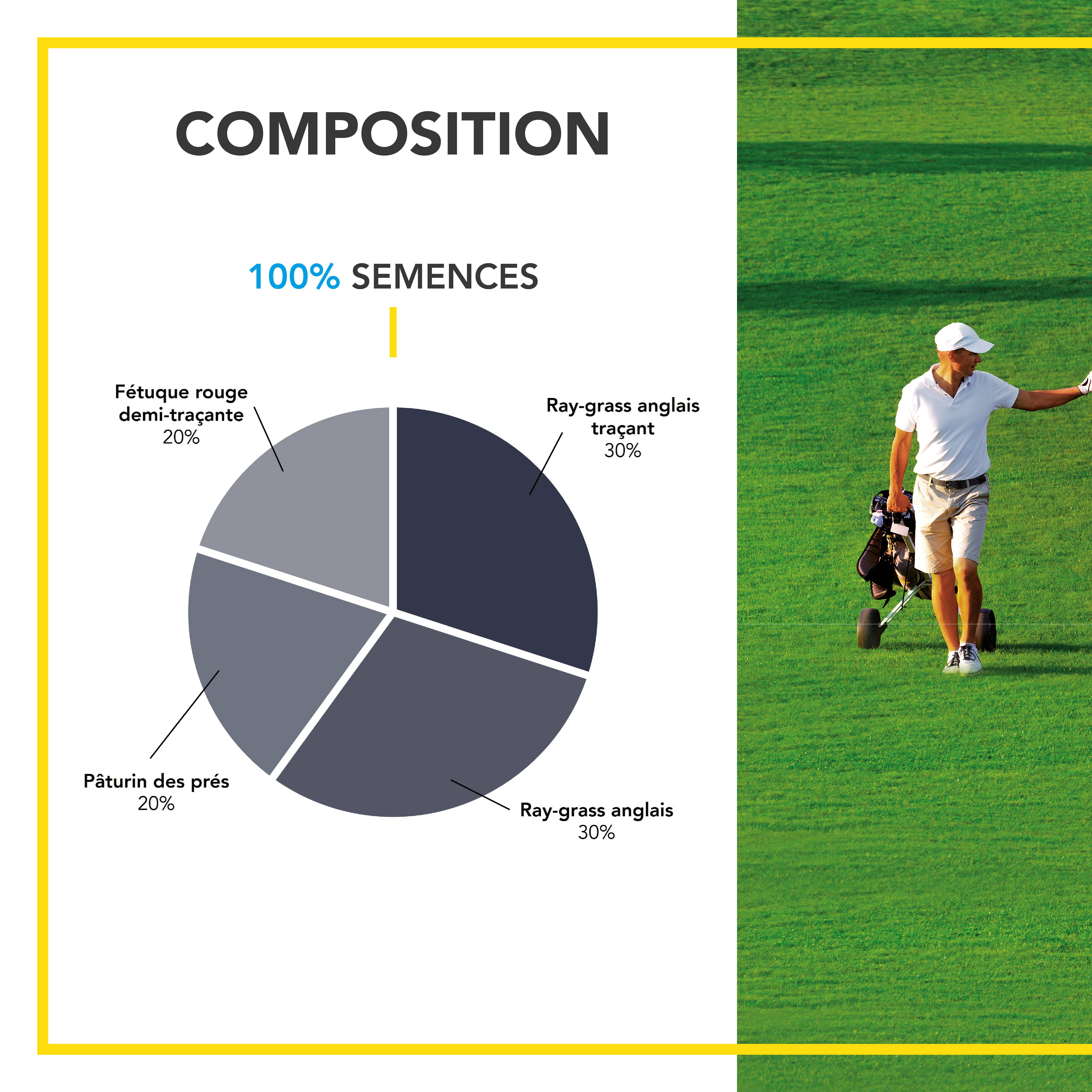 Gazon Ligue Pro et Golf - pour Terrains de Compétition - Esthétisme, Performance - Fin, Dense, Solide - 5KG - BARENBRUG - Image 3