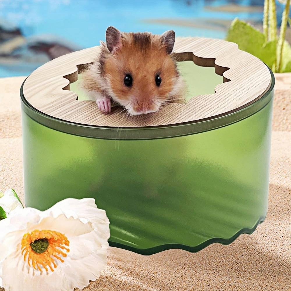 DtopbuyAge - Bac de bain de sable pour hamster DtopbuyAge - Image 1