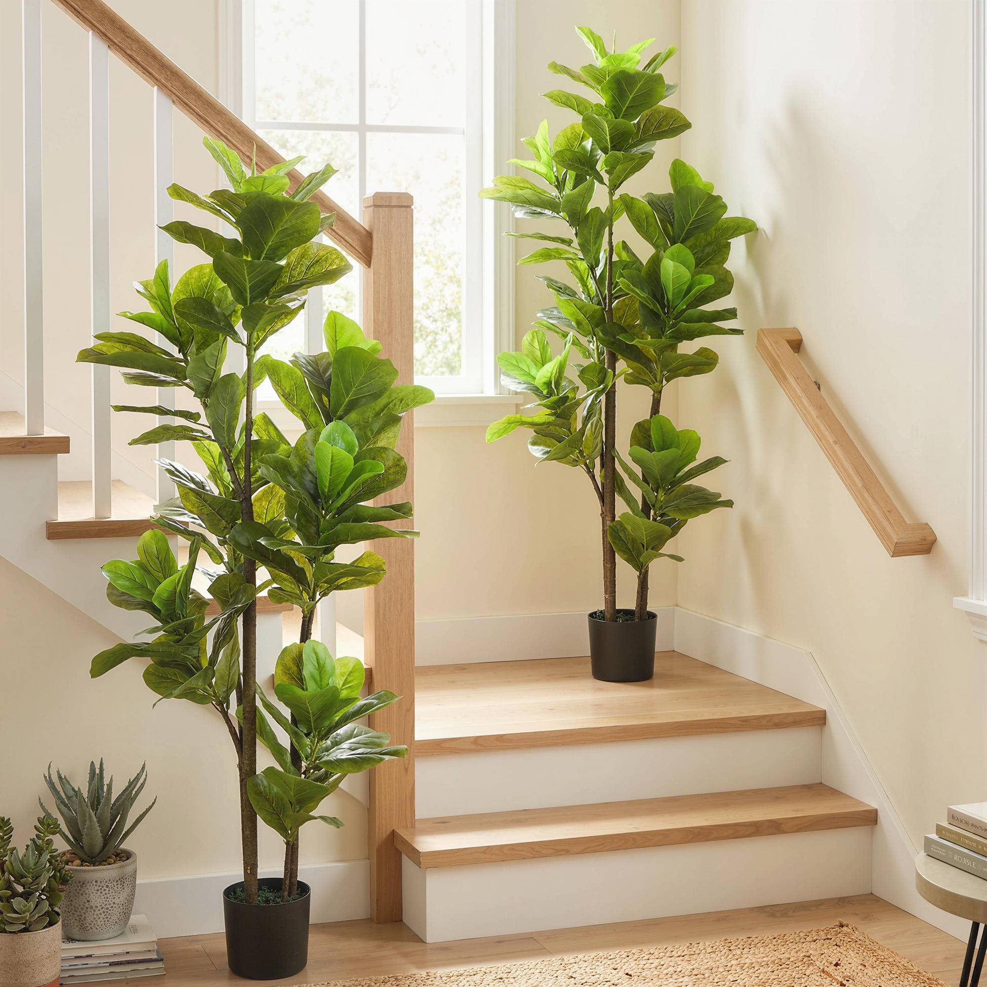Lot de 2 plantes artificielles intérieures 150 cm, fausse plante à figuier lyre avec pot en ciment, vert - Image 3