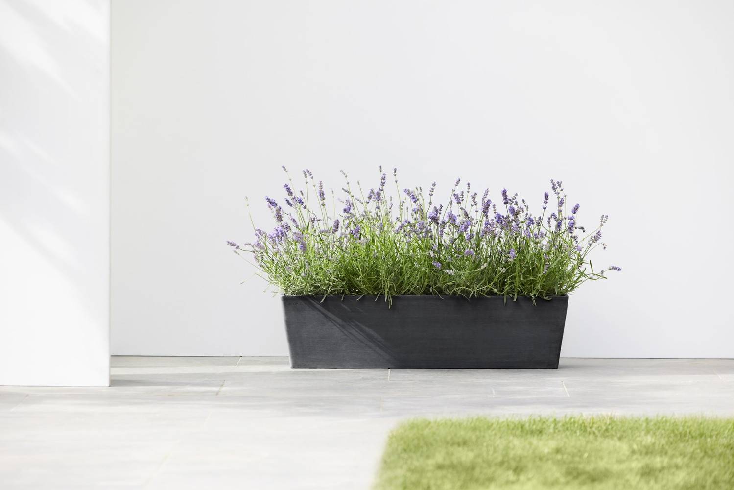 Ecopots - Pot Rectangulaire Bruges 80 Gris Foncé - 80 x 20 x H. 20 cm - 25 L ECOPOTS - Imagen 3