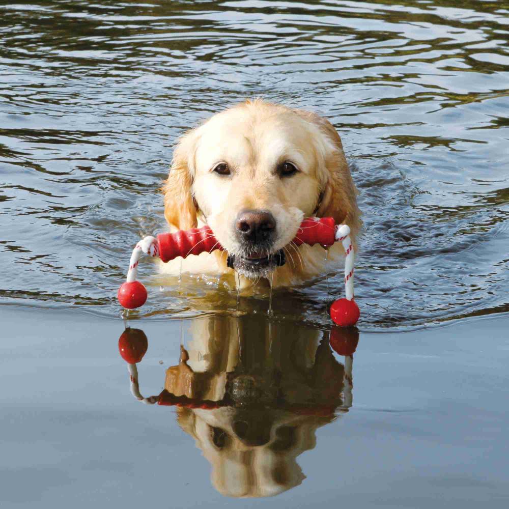 Trixie - jouet aquatique pour chien "MOT-Long" 20 x42 cm Coloris aléatoire - Imagen 3