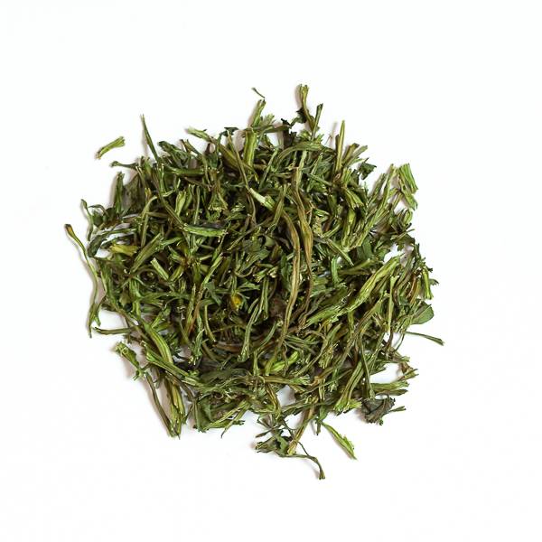 Céleri branche - 50 g - L'Eden des Pattounes