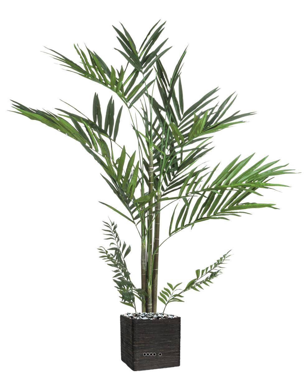 Artificielles - Palmier Kentia artificiel en pot H 240 cm - Imagen 1
