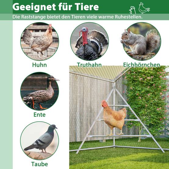 Volière Poulailler Acier 12.12m² Jardin Toit et Échelle 3x4m Blanc - ComfortXL Outdoor Living - Image 5