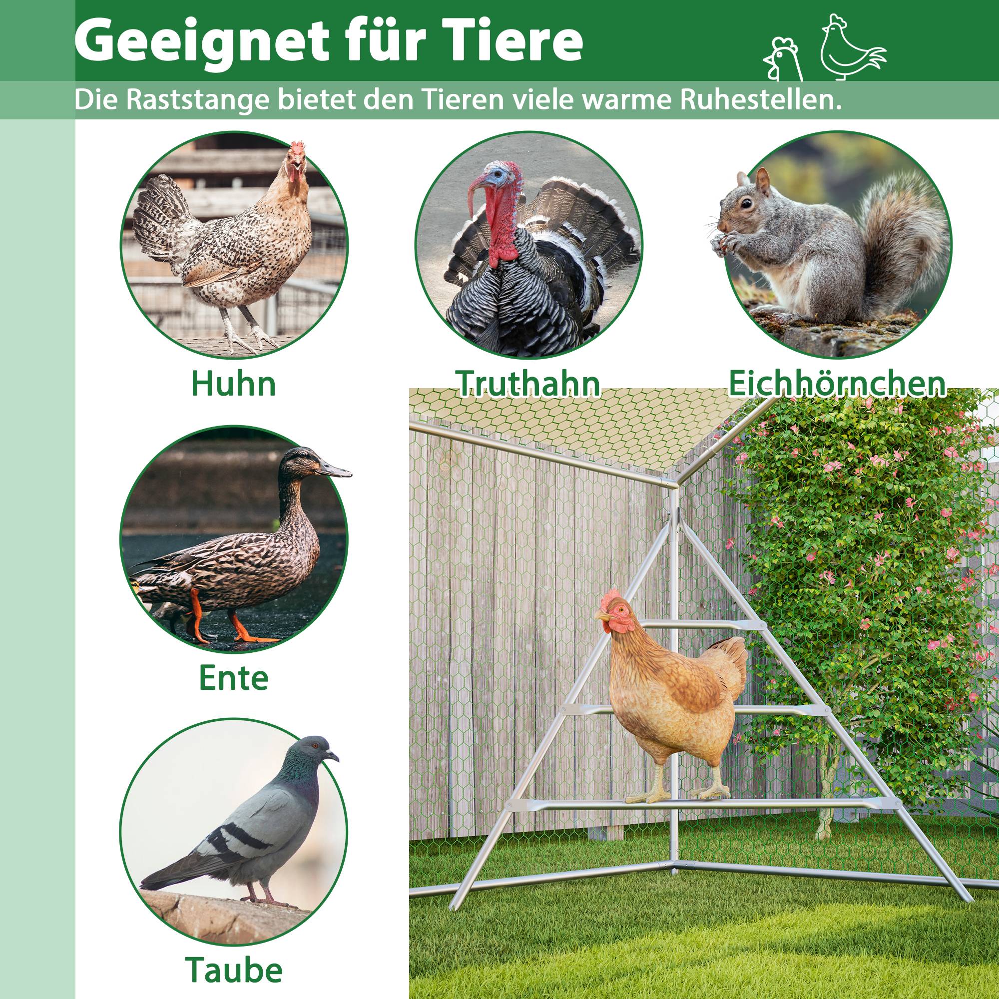 Volière Poulailler Acier 12.12m² Jardin Toit et Échelle 3x4m Blanc - ComfortXL Outdoor Living - Image 5