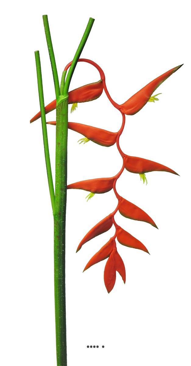 Artificielles - Branche d&rsquo;Heliconia Equatorial, L 128 cm Rouge - BEST - couleur: Rouge - Imagen 1