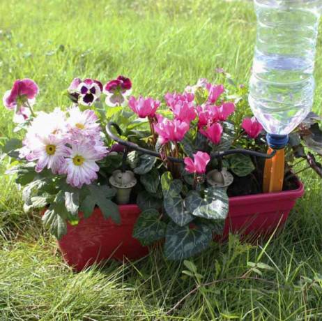 Iriso - Kit jardinière 3 goutteurs Iriso - Imagen 2