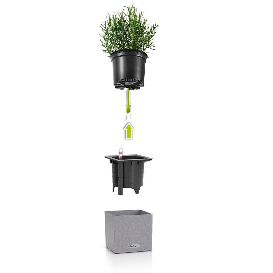 Lechuza - Canto Stone 14 - 14x14x14 cm - Kit Complet, gris pierre Lechuza - Imagen 2