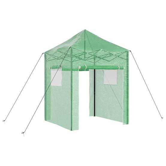 PANGIVO - Serre de jardin fer vert 200 x 200 x 300 cm - PANGIVO - Image 2