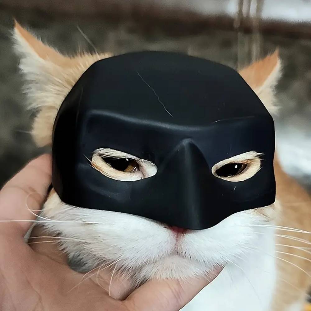 Masque Batman pour chat xl - IntiMeg - Image 4