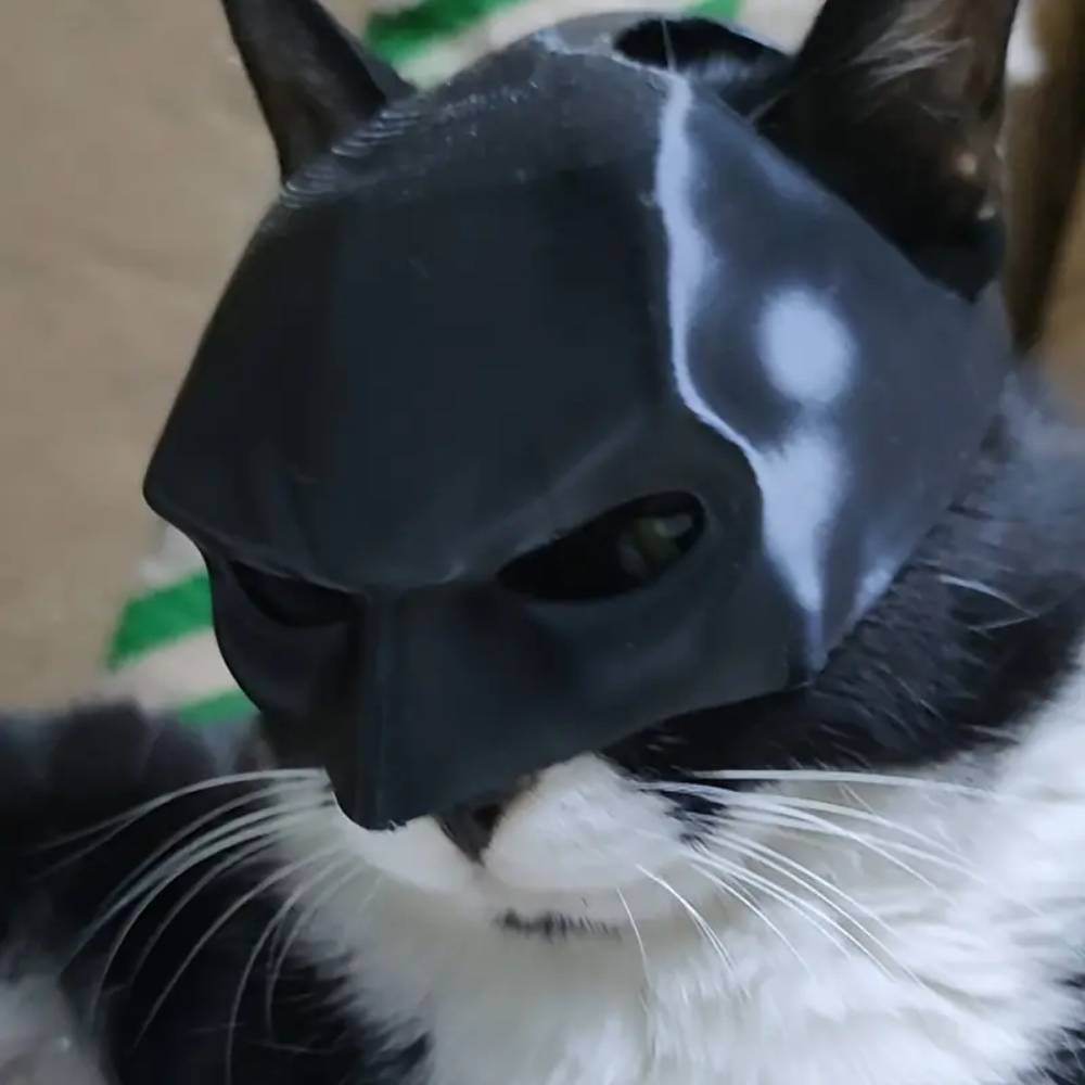 Masque Batman pour chat xl - IntiMeg - Image 3