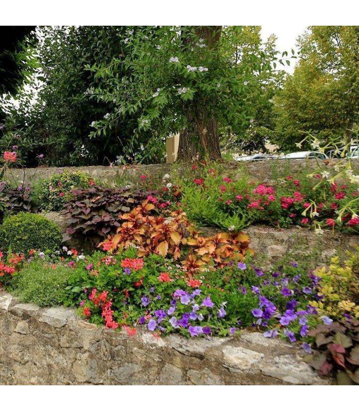 Terreau engrais fleurissement 48 sacs 50 l plantes vivaces et annuelles - Image 4