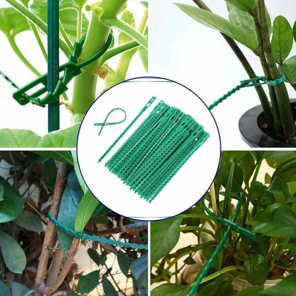 IntiMeg - 300 liens pour plantes ajustables de 22 cm IntiMeg - Image 3