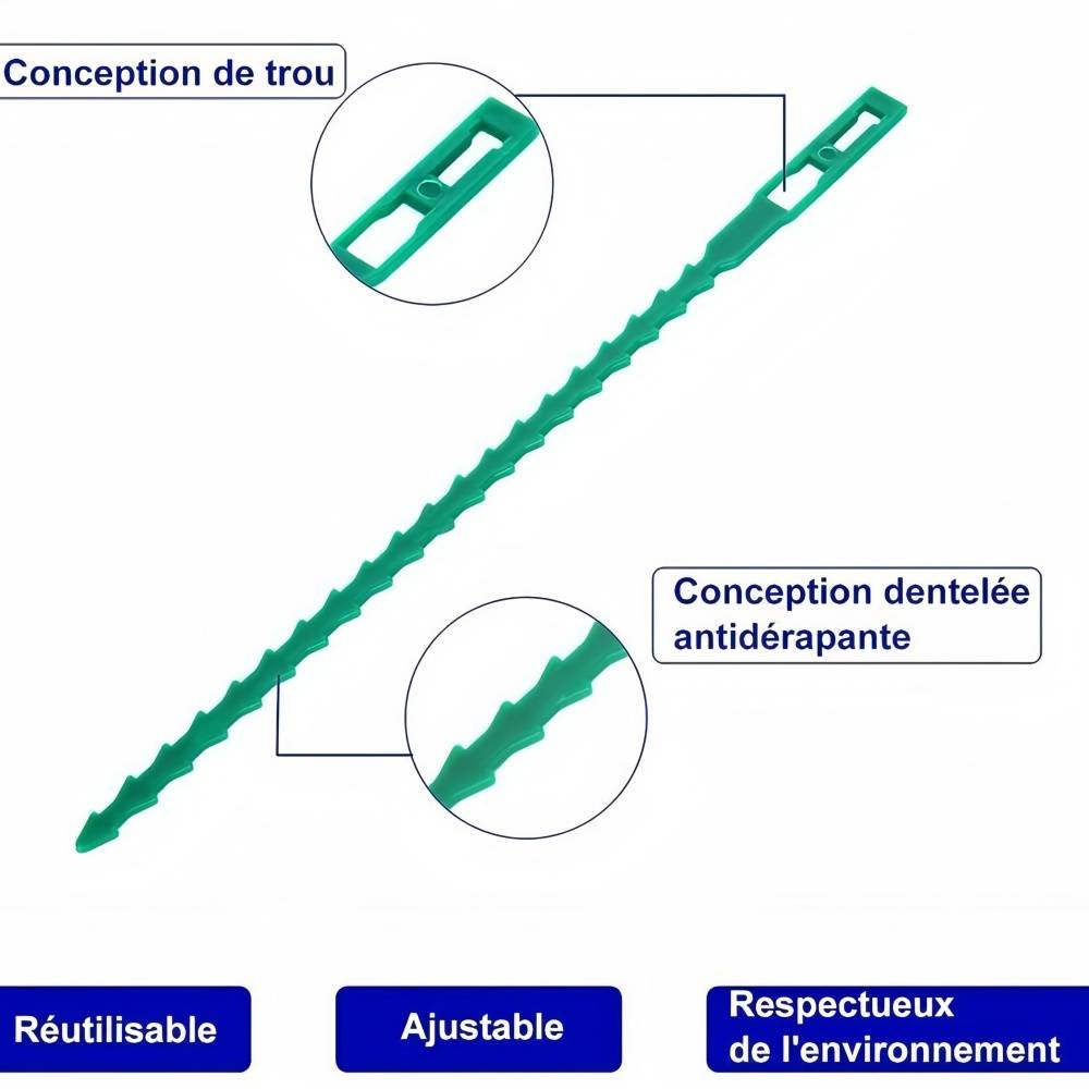 IntiMeg - 300 liens pour plantes ajustables de 22 cm IntiMeg - Image 7