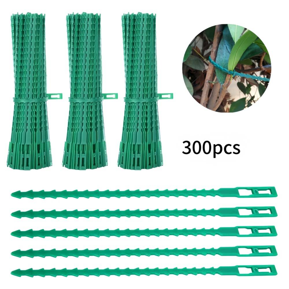 IntiMeg - 300 liens pour plantes ajustables de 22 cm IntiMeg - Image 1