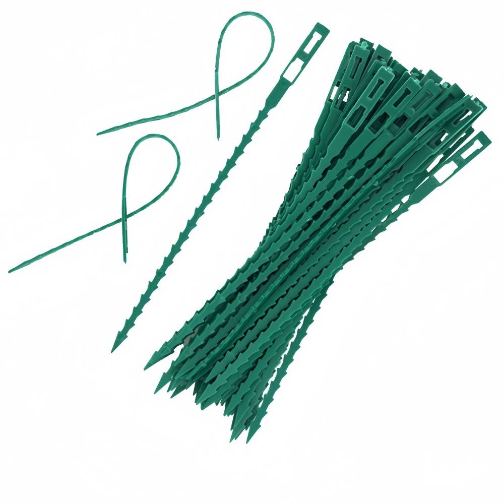 IntiMeg - 300 liens pour plantes ajustables de 22 cm IntiMeg - Image 2