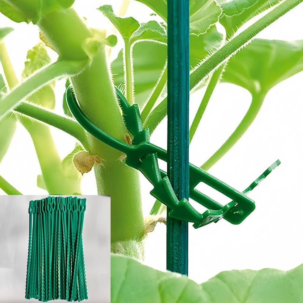 IntiMeg - 300 liens pour plantes ajustables de 22 cm IntiMeg - Image 4