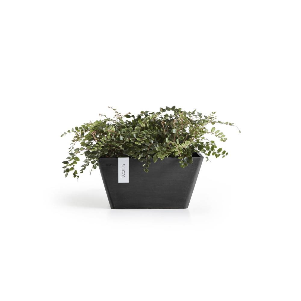 Ecopots - Pot Carré Berlin 30 Gris Foncé - 31 x 31 x H. 15,5 cm - 10 L ECOPOTS - Imagen 1