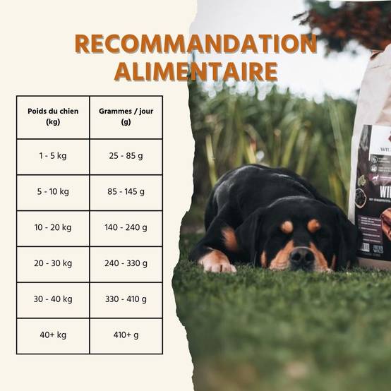 Wildfang - Wildfang - Coffret Gourmet Adulte - Aliments secs et humides - 3 x Venaison / 2 x Bœuf - Image 5