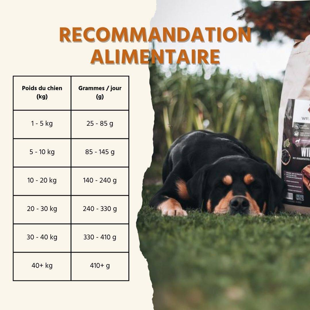 Wildfang - Wildfang - Coffret Gourmet Adulte - Aliments secs et humides - 3 x Venaison / 2 x Bœuf - Image 5