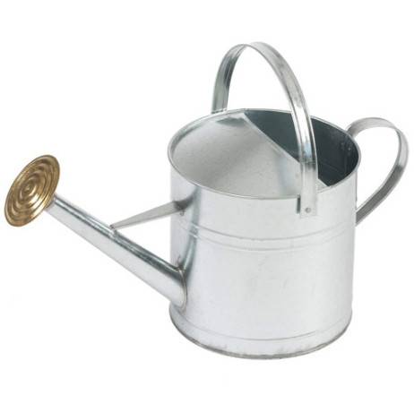 Arrosoir en acier galvanisé 9 L - Image 1