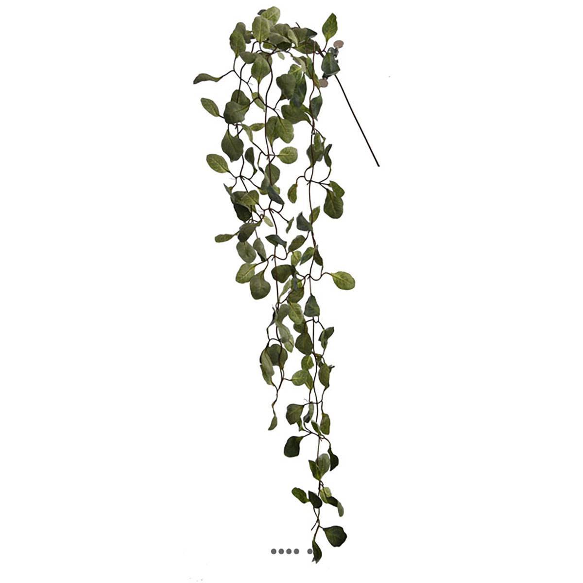 Artificielles - Branche d'eucalyptus artificiel retombant L125 cm vert - Imagen 1